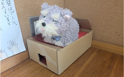 マイドリームパピー ラッフルズを活用した授業実践レポート(樋渡亜紀先生)
